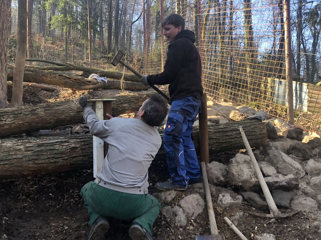 Gemeinsam mit den slowenischen Kollegen wird angepackt: Die Ziegel kommen weg und es entstehen Terrassen und Hochstände.