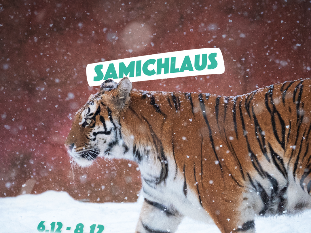 [Translate to French:] 