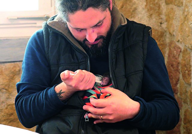 Affenbaby wird gefüttert