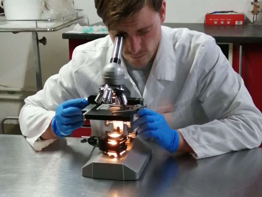 Der Kot der Tiger wird untersucht. Optimierungsvorschläge zur Fütterung und Beschäftigung sollen dem slowenischen Zoo zudem dabei helfen, die physische und psychische Gesundheit der Tiere zu verbessern.